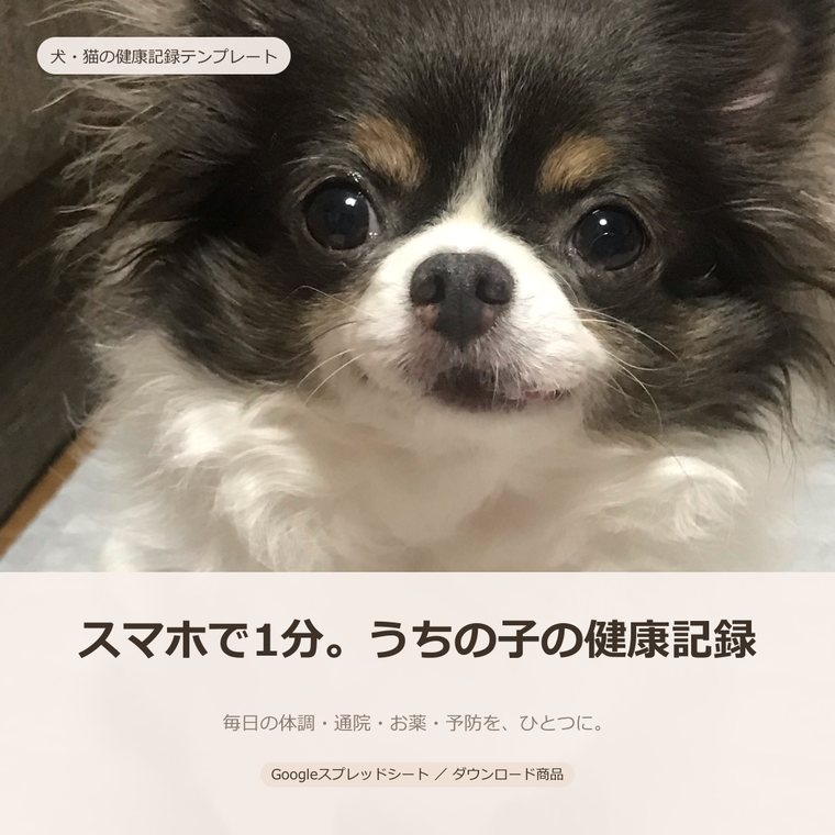 うちの子の健康・通院記録テンプレート